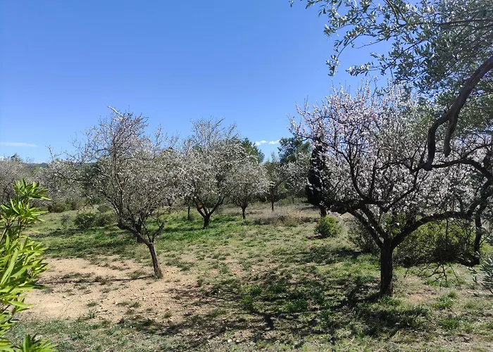 Mas Blauet - Finca With 2 Holiday Houses And Shared Pool