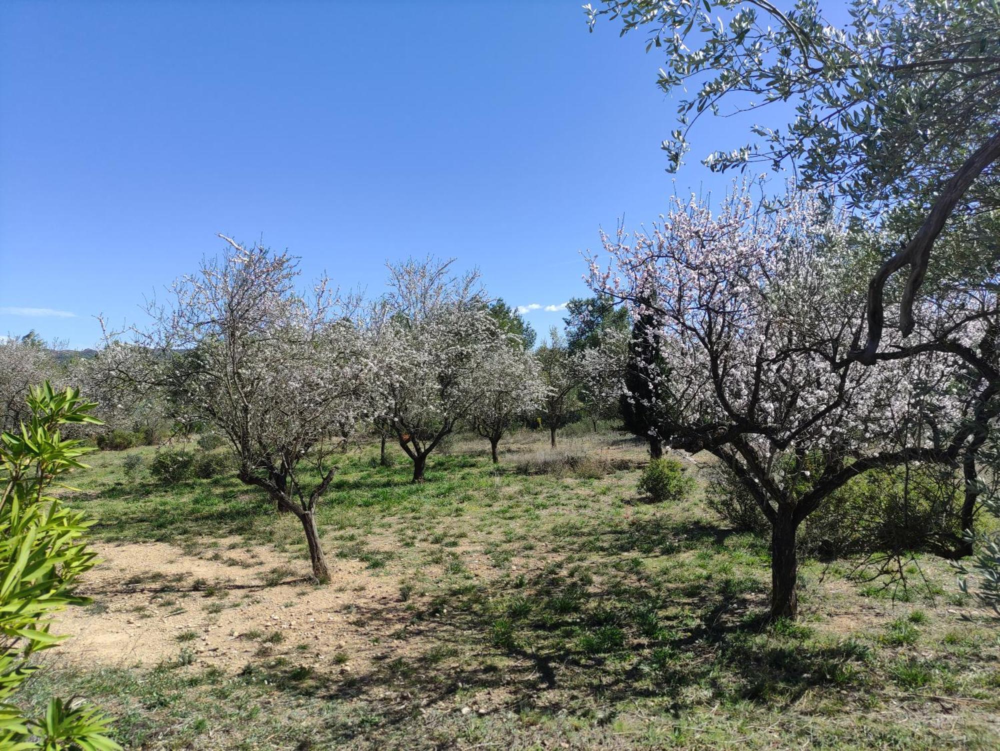 Mas Blauet - With 2 And Shared Pool * Rasquera